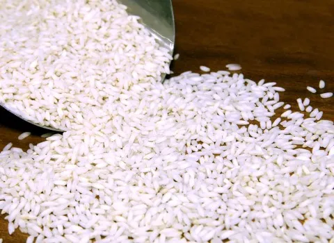 قیمت برنج فجر حیدری + خرید باور نکردنی